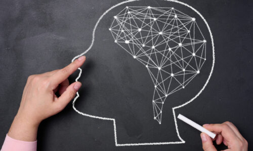 FORBRAIN BEYİN EĞİTİMİ (BİLİŞSEL BECERİLERİ GELİŞTİRME) PROGRAMI