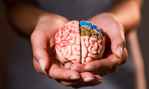 FORBRAIN BEYİN ANTRENÖRLÜĞÜ UYGULAYICILIK EĞİTİMİ