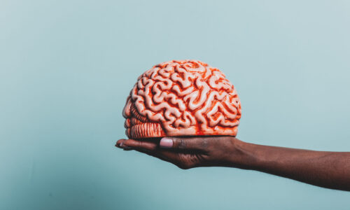 FORGYM HAREKETLE ÖĞRENME PROGRAMI