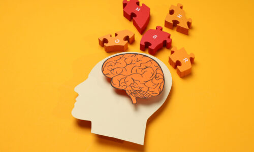 SAĞLIK PROFESYONELLERİ İÇİN BEYİN ANTRENÖRLÜĞÜ SERTİFİKA PROGRAMI