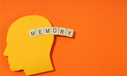 FORHEALTH UNUTKANLIK VE HAFIZA GÜÇLENDİRME BEYİN EĞİTİMİ PROGRAMI