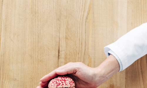 FORBRAIN SOSYAL BEYNİM