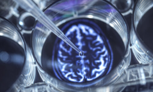 SPOR PROFESYONELLERİ İÇİN BEYİN ANTRENÖRLÜĞÜ SERTİFİKA PROGRAMI