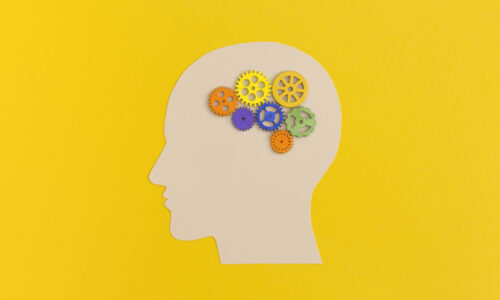 FORBRAİN MOTİVASYON PROGRAMI