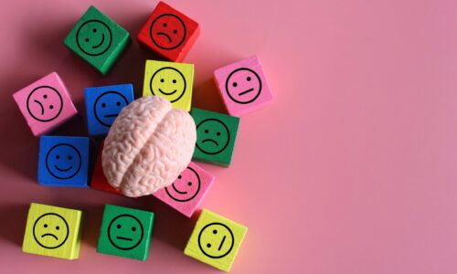 MENTAL WELLNESS UYGULAYICILIĞI SERTİFİKA PROGRAMI