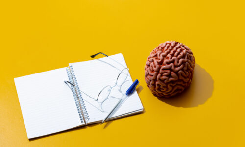 FORBRAIN ÖĞRETMENLER İÇİN BEYİN ANTRENÖRLÜĞÜ SERTİFİKA PROGRAMI