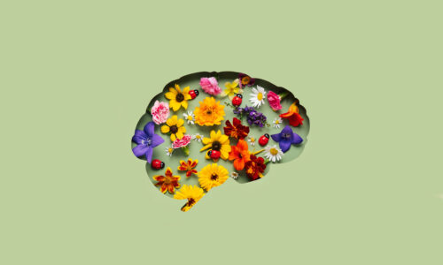 FORBRAIN MENTAL WELLNESS PROGRAMI