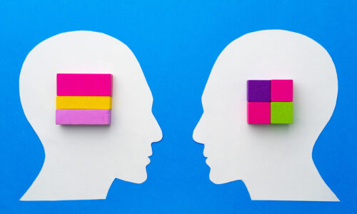 DİŞİ VE ERKEK BEYİN ATÖLYE ÇALIŞMASI